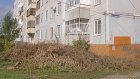 Пензенцы просят убрать спиленные ветки из-под окон дома на Ладожской