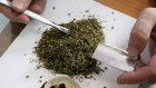 В Каменке задержали бомжа с 100 г марихуаны