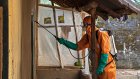 Минздрав исключил возможность вспышки лихорадки Эбола в России