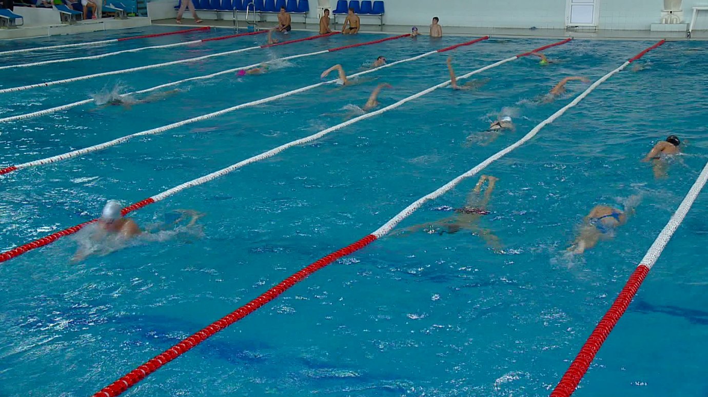 Около 400 спортсменов приехали в Пензу на соревнования по плаванию