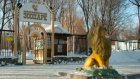 Пензенский зоопарк объявил конкурс «Пластилиновая фантазия»
