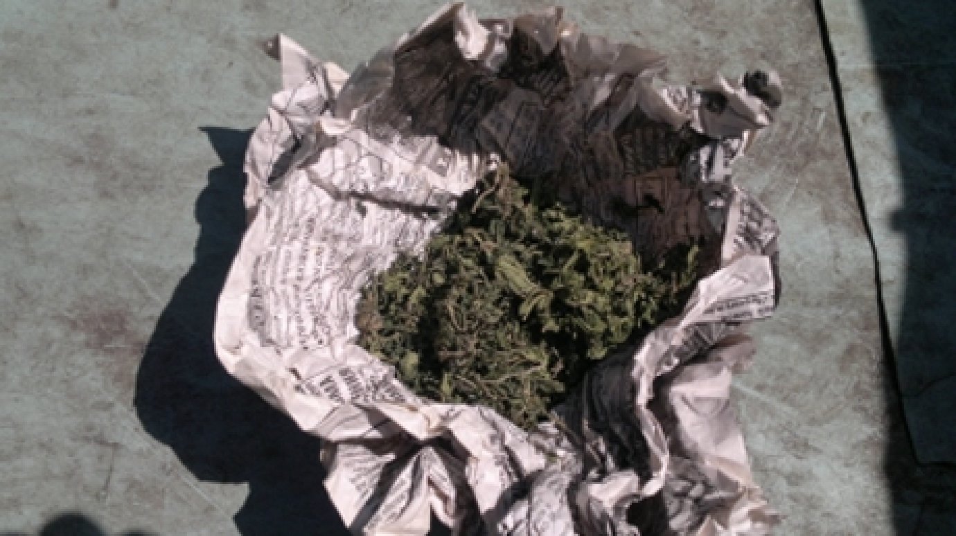 У жителя Городищенского района нашли марихуану