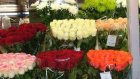 В суд направлены заявления о сносе в Пензе четырех павильонов «Цветы»