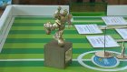 В Пензе впервые прошел турнир по футболу среди роботов
