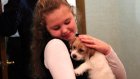 Путин подарил щенка джек-рассел-терьера девочке из Москвы