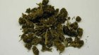 У жителя Бессоновского района изъято более 15 г марихуаны