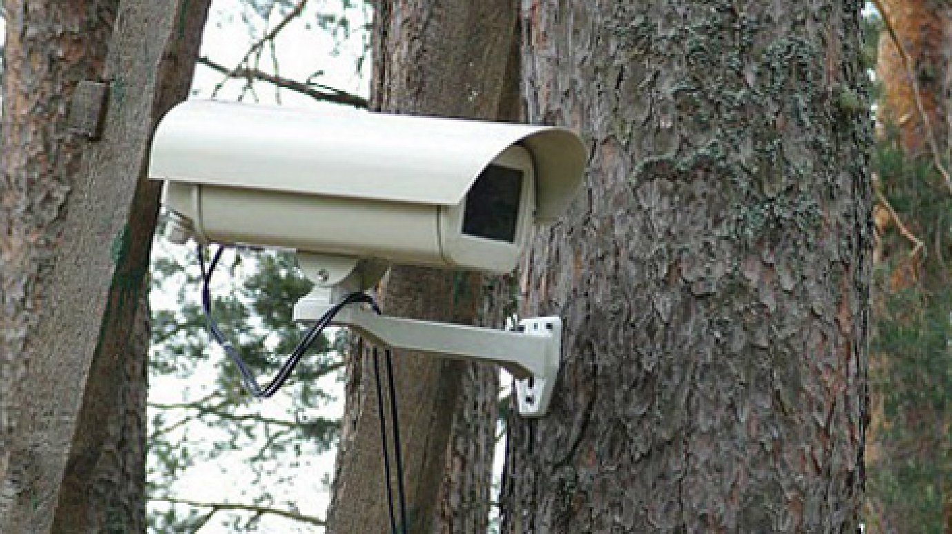 33-летний горожанин украл с дерева камеру видеонаблюдения