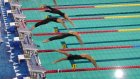 Пензенские пловцы завоевали на I этапе Кубка России 39 медалей
