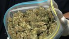 У жительницы Каменки полицейские изъяли 23 грамма марихуаны