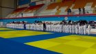 150 спортсменов приехали в Пензу на окружное первенство по дзюдо