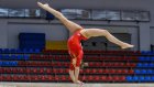 В Пензе пройдет финал спартакиады по спортивной гимнастике