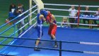 Боксер из Пензенской области выиграл всероссийский турнир