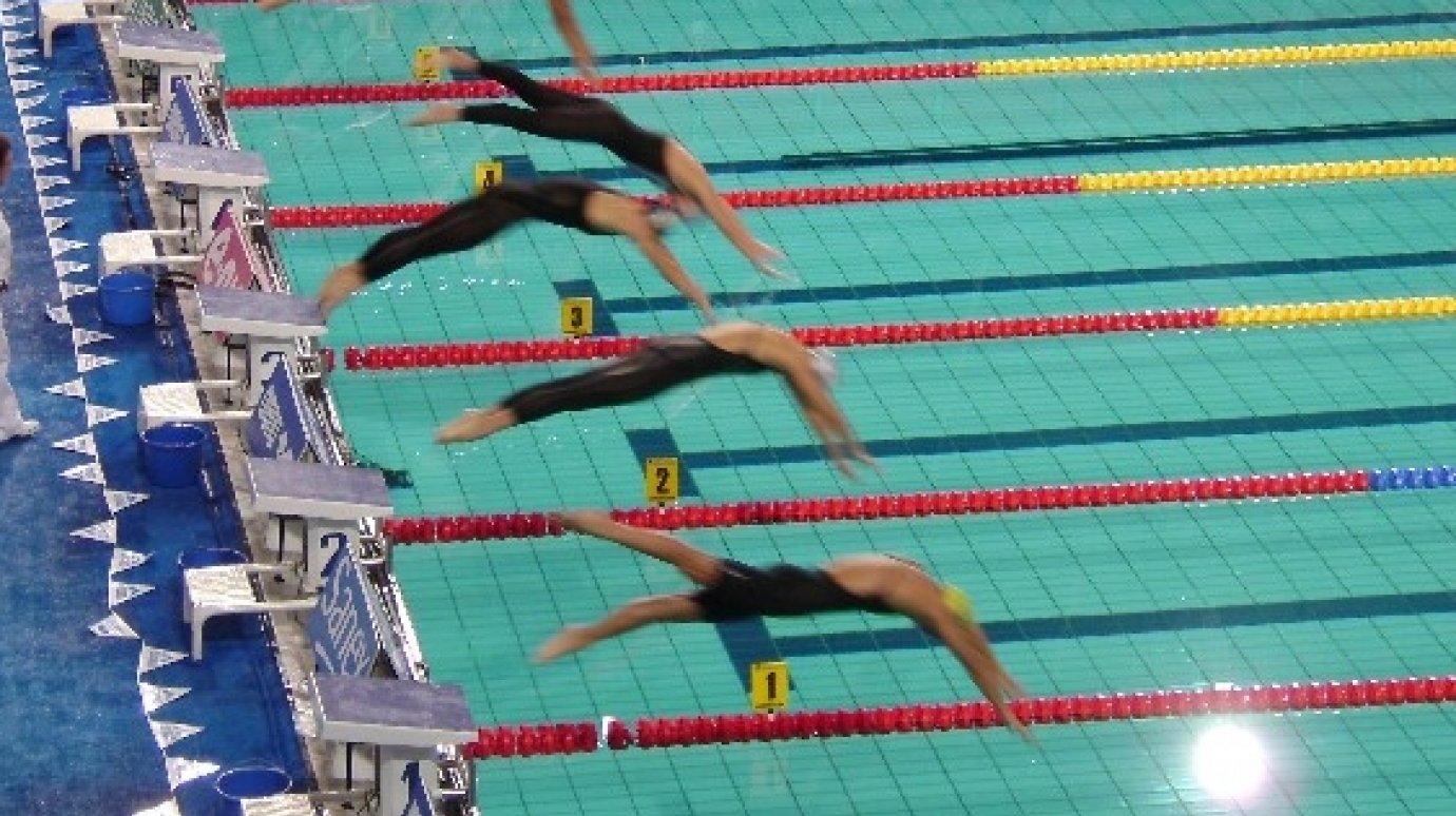 Пензенские пловцы завоевали восемь медалей в финале Кубка России