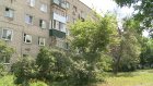 Жители ул. Ворошилова просят спилить сухое дерево у дома № 5
