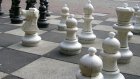В Пензе все желающие смогут сыграть в шахматы на асфальте