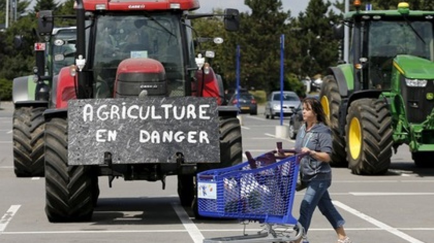 Европейский профсоюз фермеров подсчитал потери от продуктового эмбарго