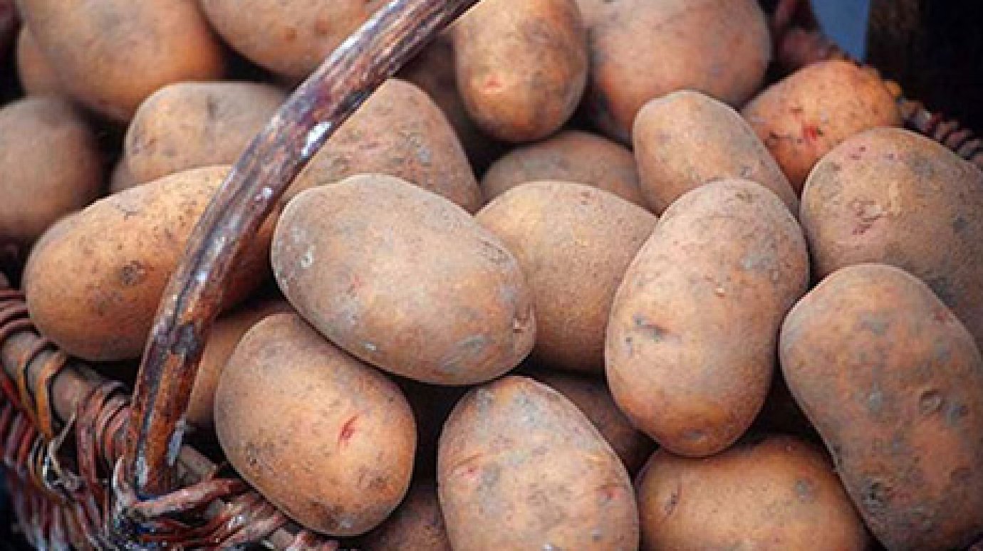 В селе Манторово у пензячки украли 48 килограммов картофеля