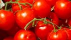 Сельчанка призналась в краже 100 кг помидоров из теплицы