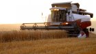 В Пензенской области намолочено более 530 тысяч тонн зерна