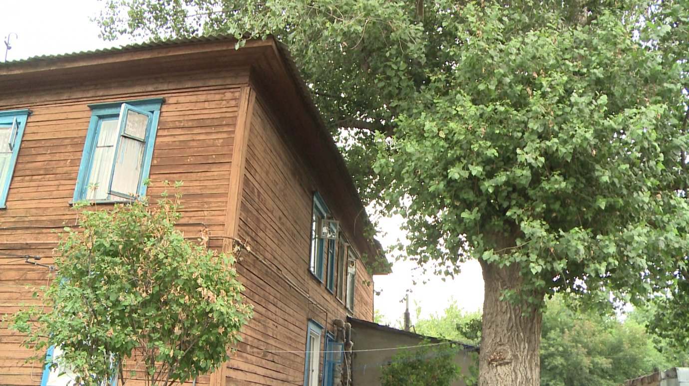 Жители дома на Индустриальной боятся падения огромного тополя на крышу
