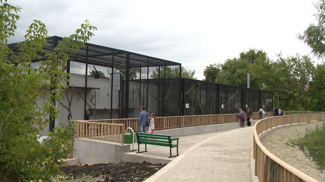 В Пензенском зоопарке открыли новый комплекс для содержания обезьян