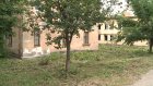 Коммунальщики уничтожили зелень у дома на улице Леонова