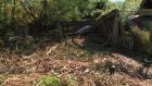 Жительница дома на Новогражданской борется с подступающим болотом