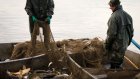 Предотвращена кража рыбы из пруда в Сердобском районе