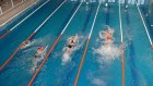 В Пензе создается детская лига плавания «Поволжье»