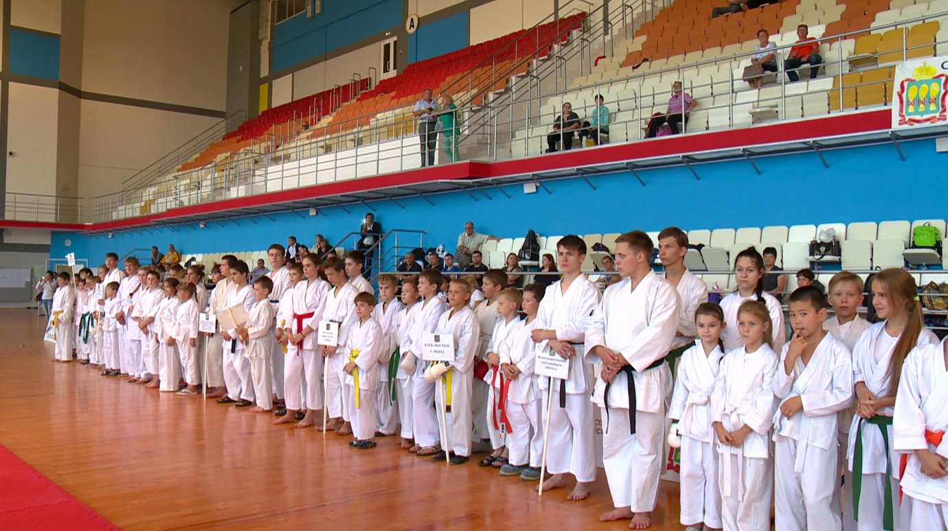 Более 200 спортсменов приняли участие в областном турнире по карате