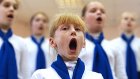 В Госдуме отказались заставлять школьников еженедельно петь гимн