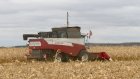 В Пензенской области собрали рекордный урожай кукурузы