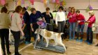 В Пензе открылся фитнес-центр для собак