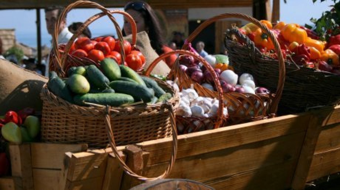 Пензенские агропроизводители собрали рекордный урожай овощей