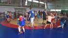 В Кузнецке пройдет всероссийский турнир по греко-римской борьбе