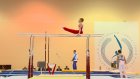 Пензенские гимнасты завоевали 17 медалей на турнире «Надежды России»