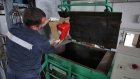 За год россияне пытались провезти с собой 200 тонн запрещенных продуктов
