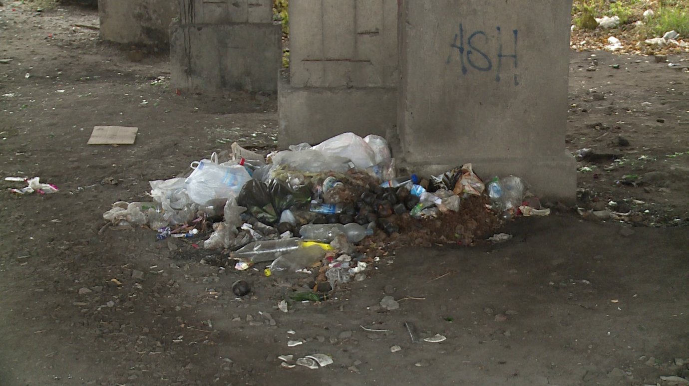 Житель Мичурина призвал горожан бороться с мусором в Пензенской области