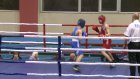 Во дворце спорта «Рубин» проходят открытый чемпионат и первенство города по боксу