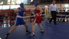 Турнир по боксу собрал в Сердобске около 140 спортсменов