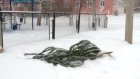 Житель Пензенской области незаконно срубил елку к Новому году
