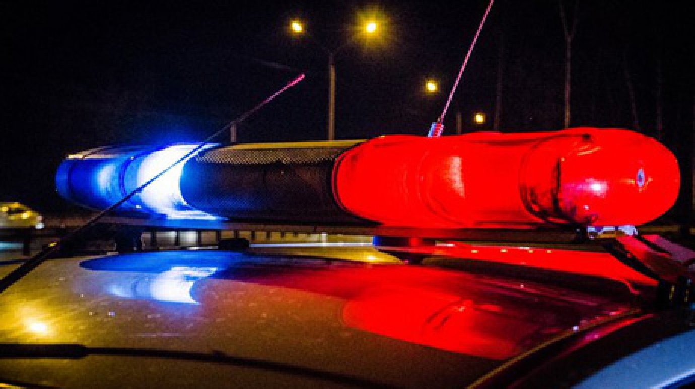 В Мокшанском районе полицейские раскрыли кражу золотых колец