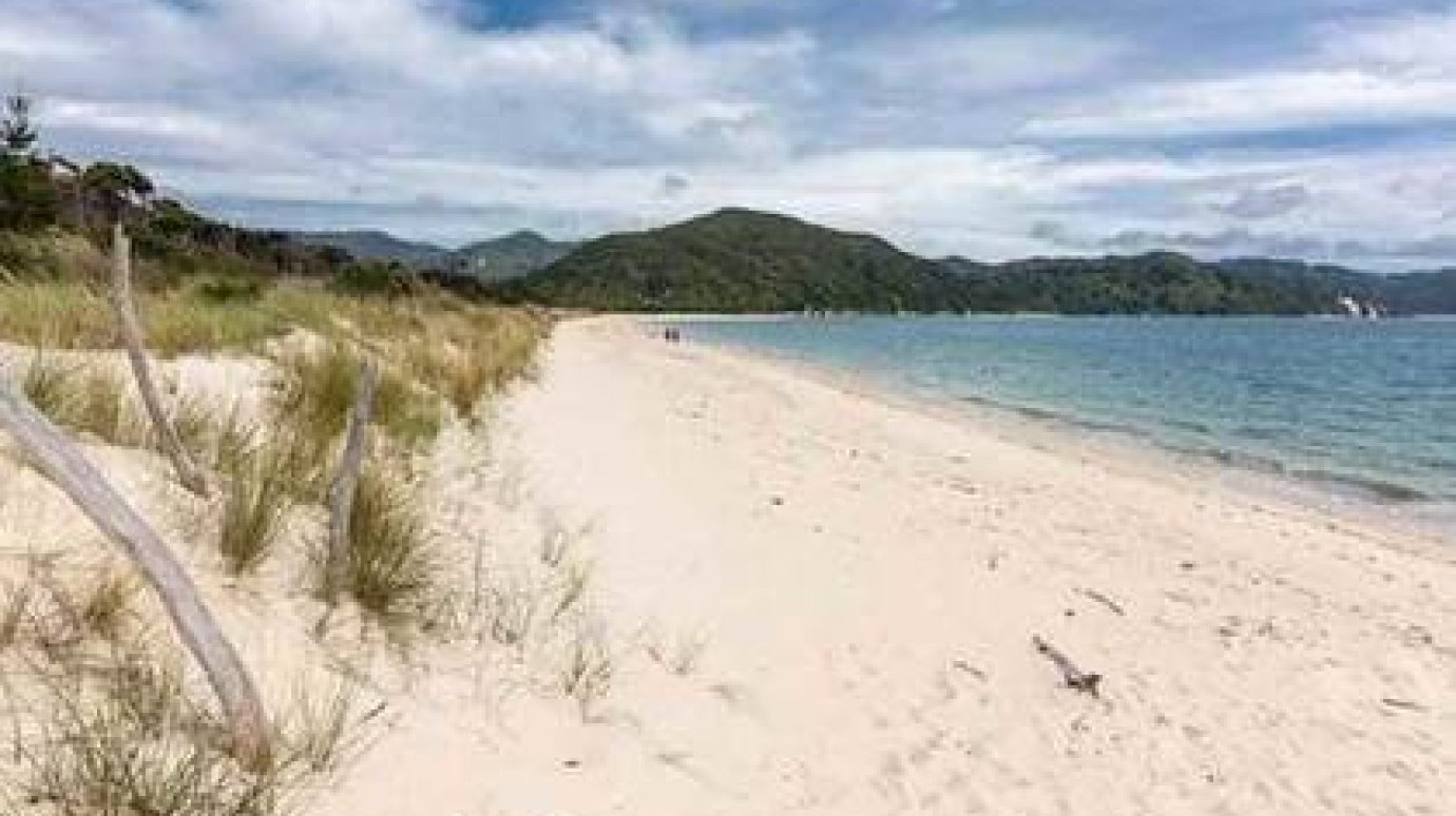 В Новой Зеландии собрали 1,5 миллиона долларов на покупку пляжа