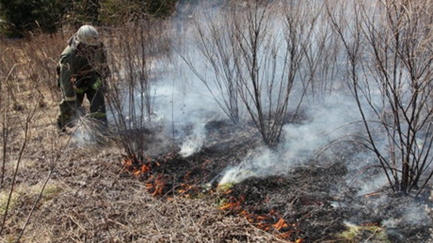 В Пензенской области начала гореть сухая трава