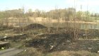 Пензенцы замусорили территорию у парка Победы в Арбекове