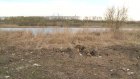 Специалисты минлесхоза проинспектировали берега арбековских прудов