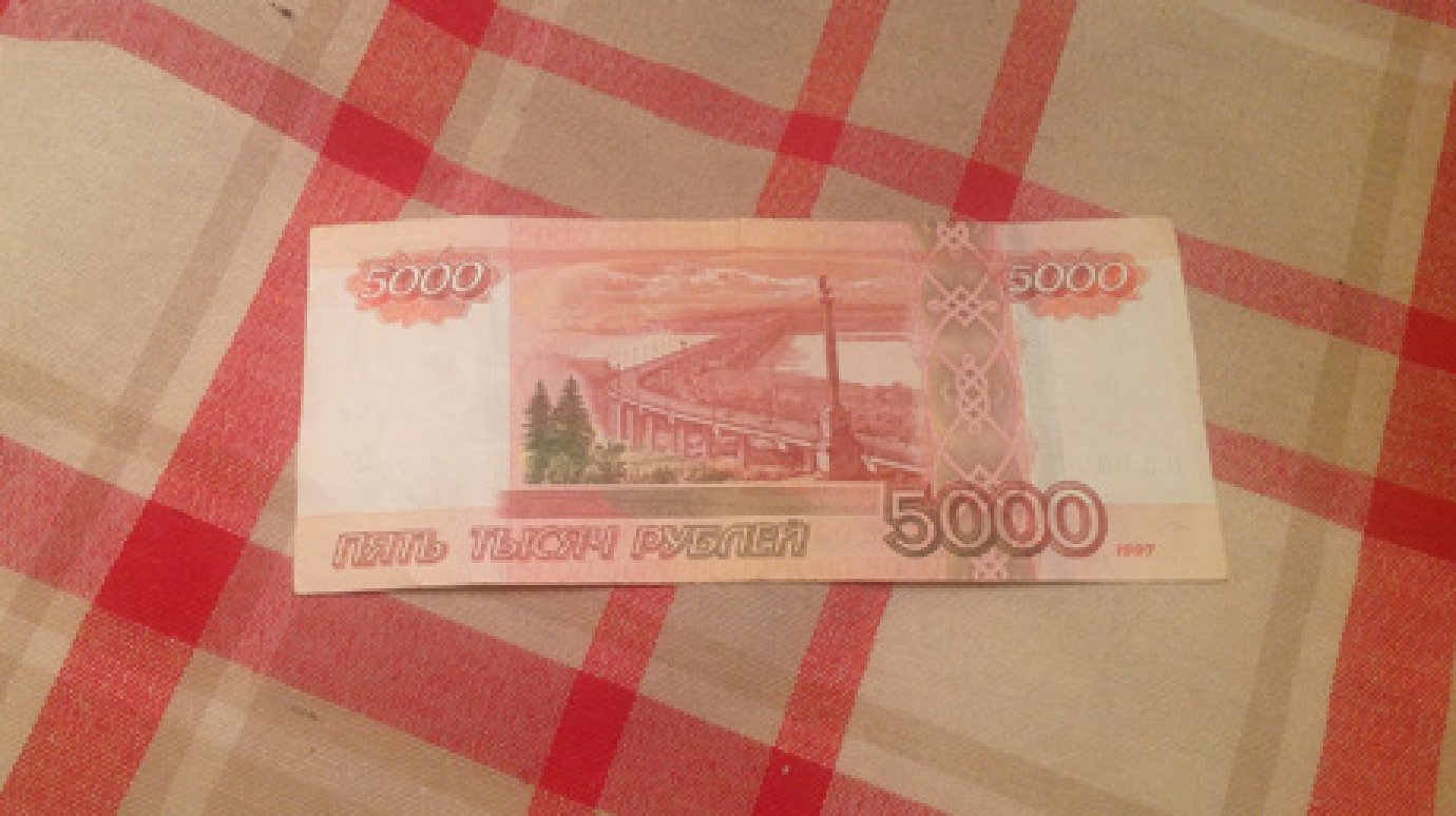 Проявление добросердечия обошлось зареченке в 5 000 рублей