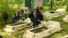 Студенты многопрофильного колледжа привели в порядок солдатские могилы