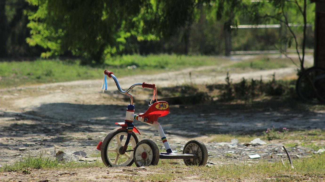 В Пензе добычей грабителя стал трехколесный велосипед