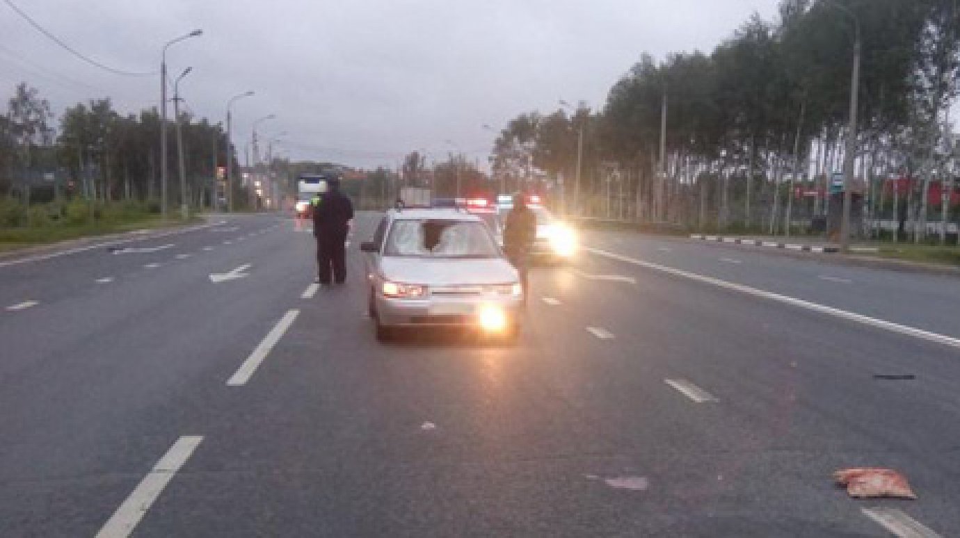 54-летний пензенец сбил пешехода в Рязанской области